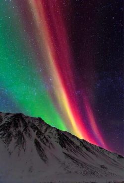 sexy-uredoinitright:  sixpenceee:  Northern LightsAlso known