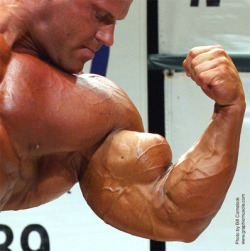 big-strong-tough:  Jay Cutler 