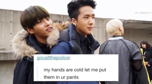 wonshiks-tiddy:  VIXX   tumblr posts [pt.1] [pt.2] [x]