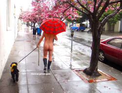 i-have-no-private-parts:  april showers 