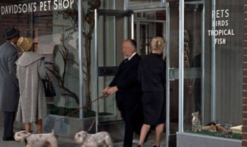 blondebrainpower:Alfred Hitchcock cameo in The Birds, 1963