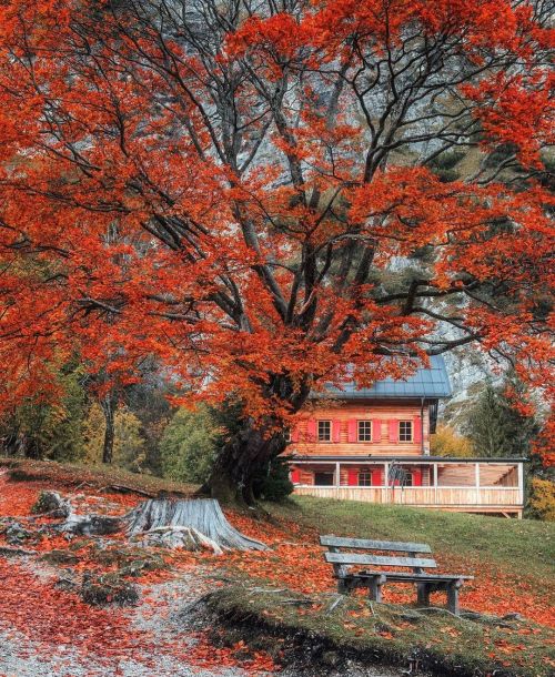 weloveaustria:Ein Herbstspaziergang am Achensee in Tirol ❤️