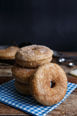 do-not-touch-my-food:  Churro Donuts