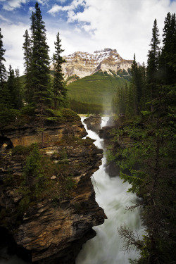 tearingdowndoors:  Athabasca Falls - Jasper National Park (By