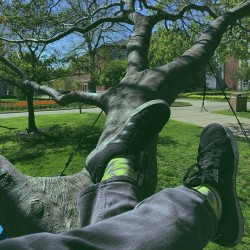 supreme-peace:  #quad #hangs #isu #tree #hammock #green #blue