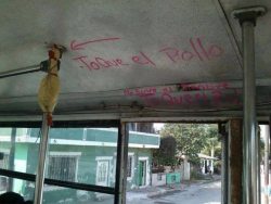 sii-te-enamoras-pierdes:  en algun bus del transantiago… xD