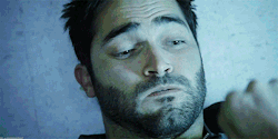 tl-hoechlin:  I’m a Predator …  dont know what this is from