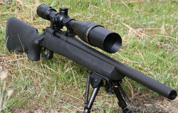 kylanswain:  Remington 700 sps tactical. Gorgeous rifle