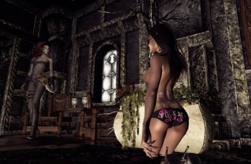 llunalytt:  Jermayne and Falanu___ “So my friend left the key under the mat, you up to sleeping inside tonight?” Falanu is apparently thrilled with the idea. Jermayne adorns Os-mods kickin’ panties___TY, love them! http://www.nexusmods.com/skyrim/mods/263