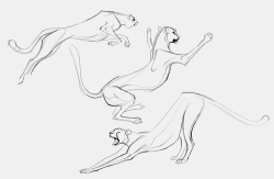 drawnbydana:  warmups of some cheebos