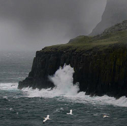 pagewoman:    Isle of Skye, Inner Hebrides, Scotland. by B℮n