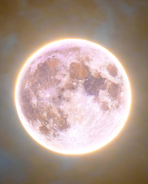 without-ado:  Full Pink Moon in Scorpio by Rami Ammoun (Apr.