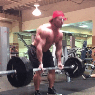 beast the fuck out of that gym, bros