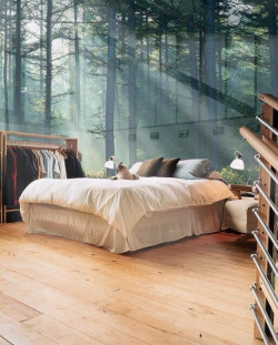 niick4:  Nature room in Sweden.  [via/more] 