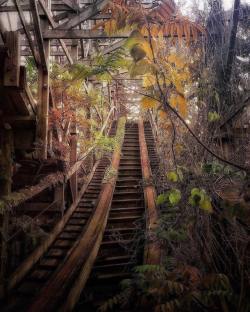 abandonedandurbex:Overgrown Roller Coaster [615x768]