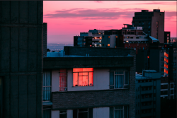 danger: Johannesburg by  elsa bleda