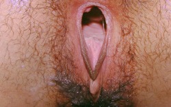 Chicks be instagraming their gape now.