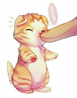 little-tigerxo:  ~Boops💕~ 