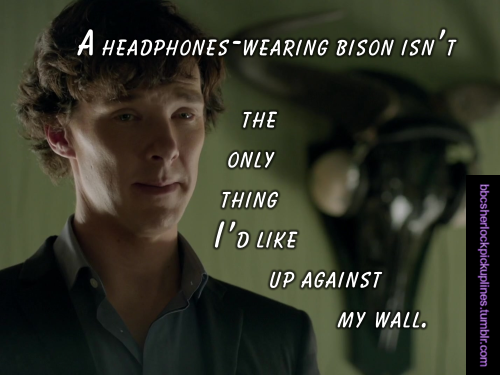 “A headphones-wearing bison isn’t the only thing I’d like up against my wall.”