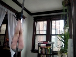 Black velvet is feet up on her living room stripper pole