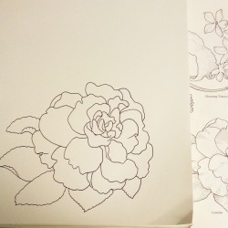 Free-hand straight-to-ink copy of a Camelia from a Dover book.