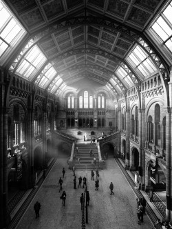 everydayuk:  National History Museum / London