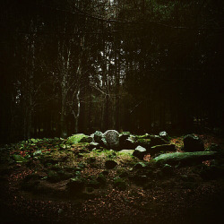 thegreencauldron:  A Bronze Age wedge tomb hidden in the forest