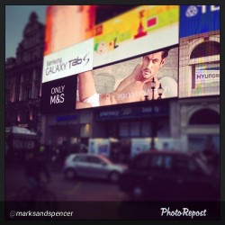 dgfansspain:  OMG By @marksandspencer “Traffic will stop at