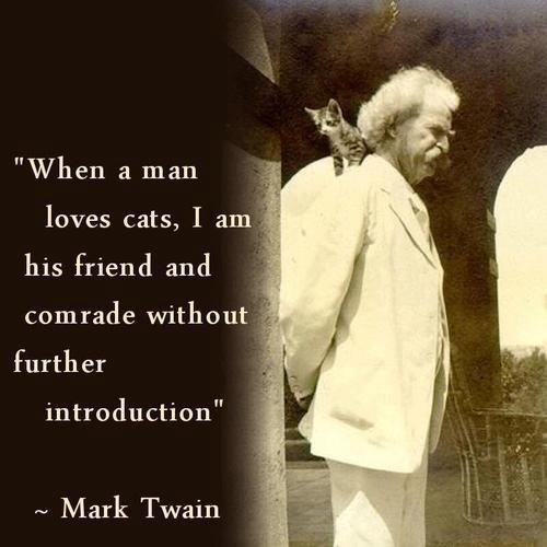 An astute mind