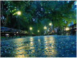 bluepueblo:   Rainy Night, Union Square, New York City photo