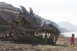 popculturebrain:  Massive dragon skull on UK beach actually a
