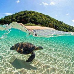 i-long-to-travel-the-world:  Tropical Paradise, Who wanna swim