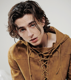 tchalametdaily:   Timothée Chalamet@ Collier Schorr | VMAN Magazine