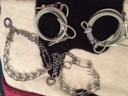 keres-nirvana:  New toys! 😏 two steel spiked choking  collars