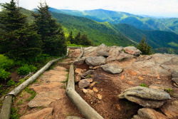 hueandeyephotography:  Ridge hiking trail, Mount Mitchell State