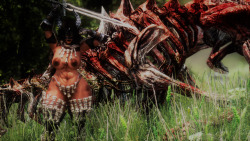 mizzbonjovi:  My actual Dragonborn Huntress that I play a big
