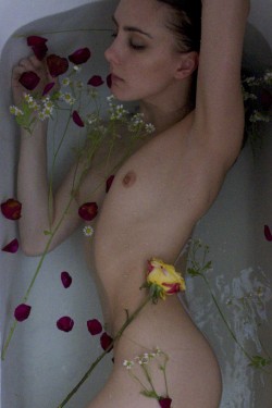 brookelynne:  roses & camomile | self-portraits •✧{ more