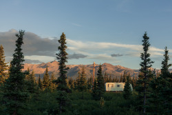 cabinporn:  Guest cabin in Healy, Alaska. Photo by Jenni Kowal.