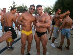 Team Muscle