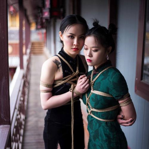 thevertigonetwork:Shibari & Photo Hajime Kinoko