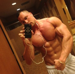 Adonis Files