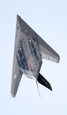 robotpignet:  F-117 