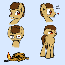 ask-backy:  Guess who made a nameless mod pony for himself? (ME)