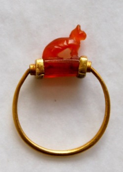 ancient-egypts-secrets:  Egyptian gold finger-ring; cornelian