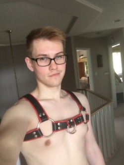 temptingdominance:  gaykinkybottomboi:Love my new harness from