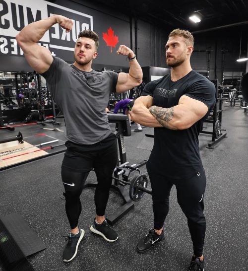 muscleobsessive:  Attention: do NOT attempt any massive bicep-curl