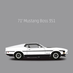 fragmami:  71’ Ford Mustang Boss 351 #ford #mustang #fordmustangboss