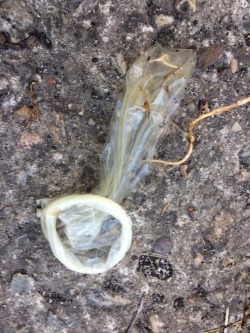 usedcondomss:  Someone had a quicky on a stone! Kinky!