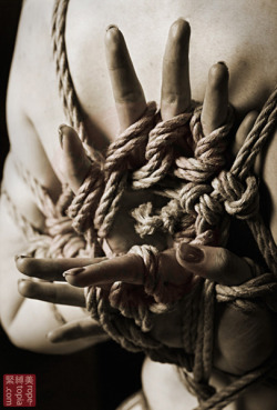 wykd-dave:  Adreena. Full gallery http://rope-topia.com/portfolio-items/adreena-winters-shibari-bondage-shoot-2012/