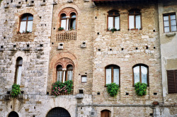 wildstag:  Florence windows by planetails ✈ on Flickr.